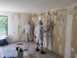 Asbestos and Lead Testing During Mold Inspection in Brocton, NY